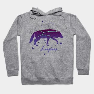 Lupus Constellation Hoodie